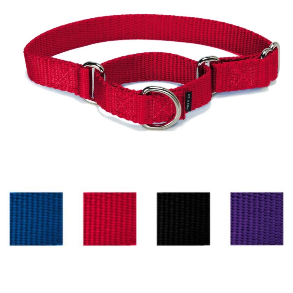 Pet safe Dog collar